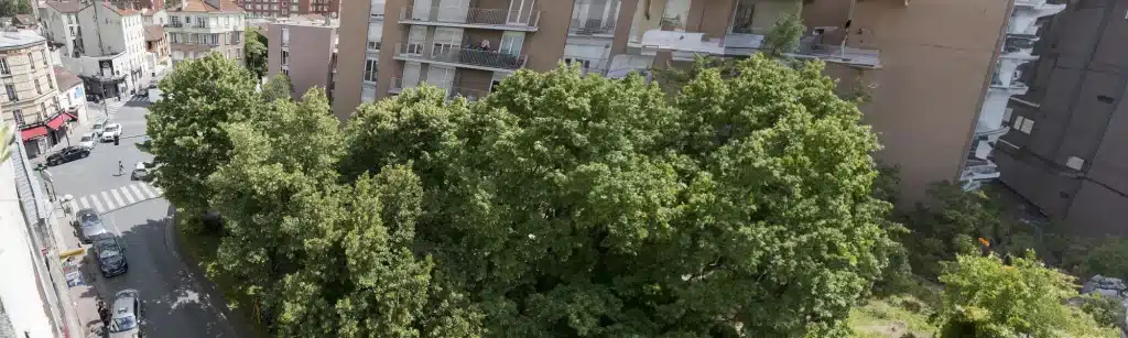 Enquête publique pour le Projet de Renouvellement Urbain d’intérêt Régional (PRIR) des quartiers Rosiers-Debain