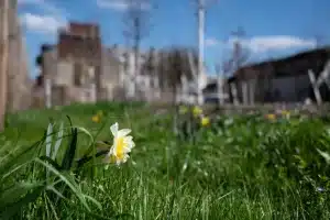 Observatoires communaux de de la biodiversité