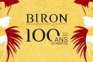 Fêtes des Puces 2025