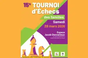 Article-Web-échec