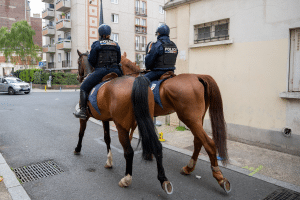 Mise en avant PN