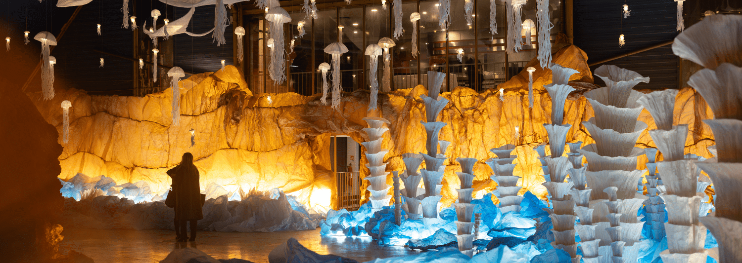 Mise en avant culture